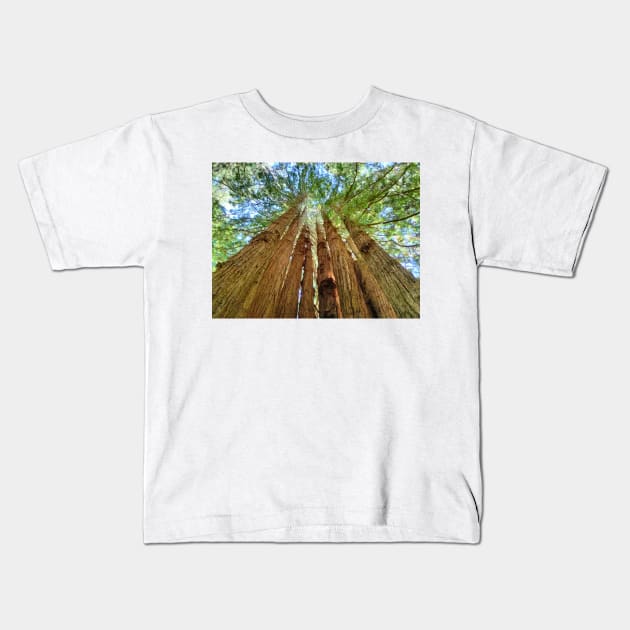 Redwood Grove Kids T-Shirt by Johnmichaelartist